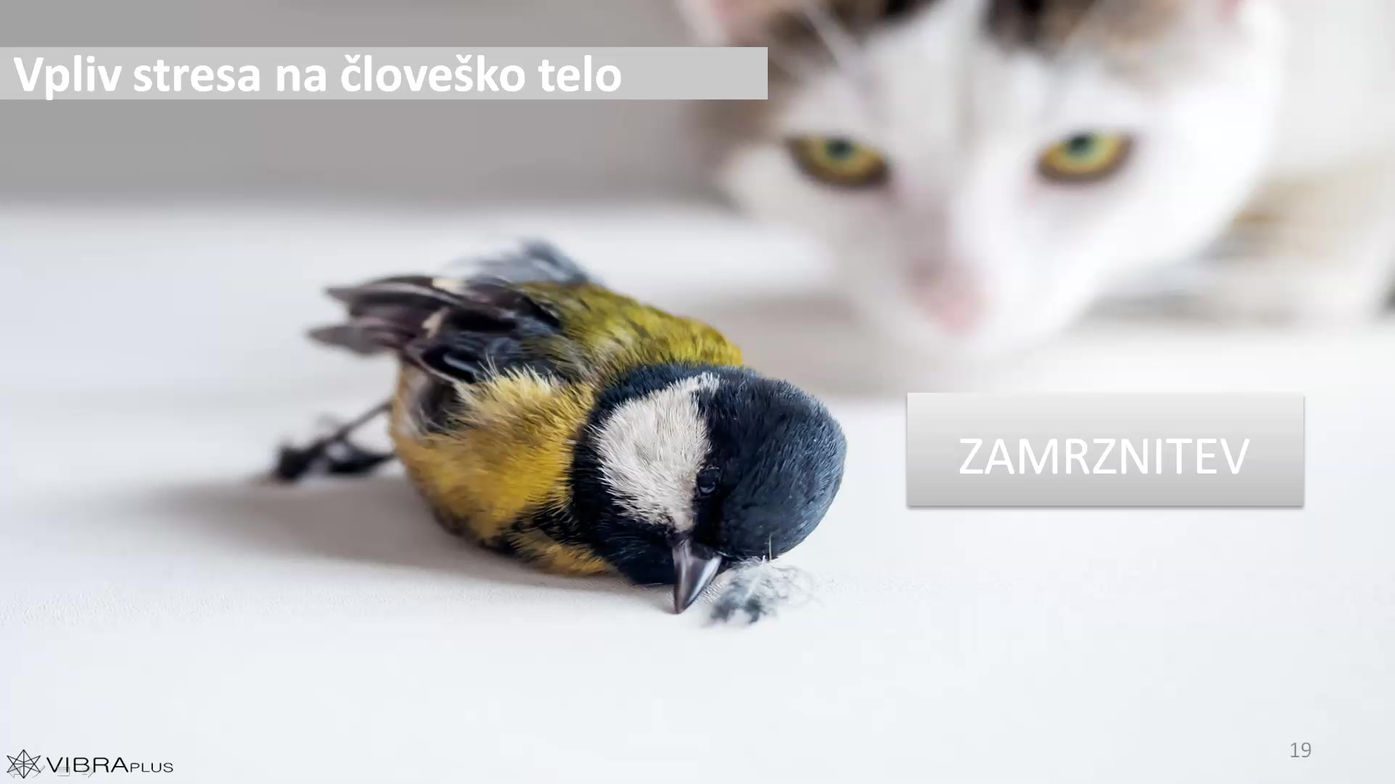 STRATEGIJE PREŽIVETJA